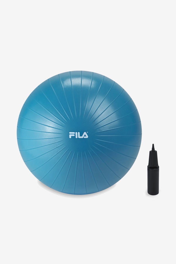 Blue Fila Stability Workout Ball With Pump 55cm