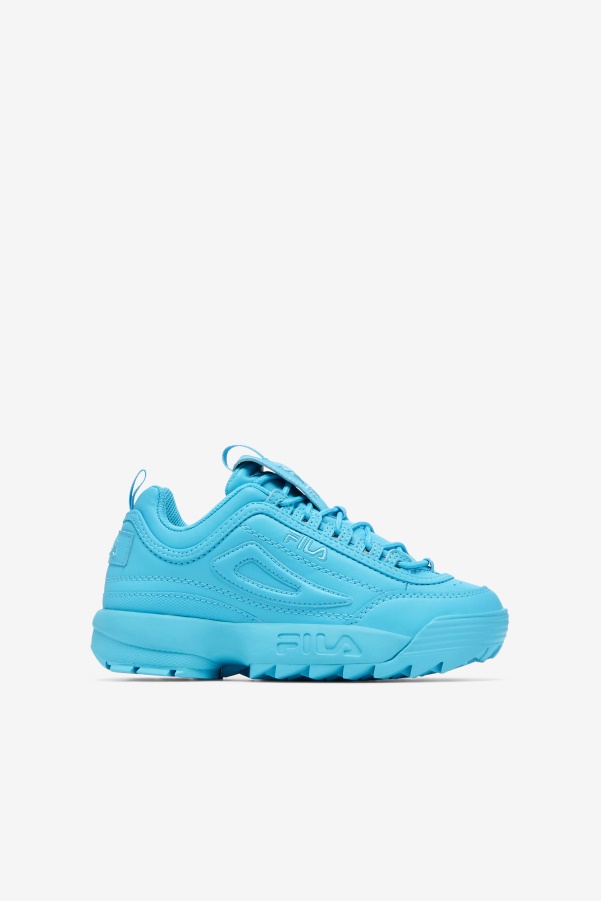 Big Kids' Disruptor 2 Premium Fila Bluefish