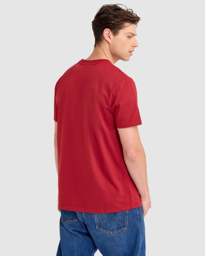 Lewis Tee Fila Winery