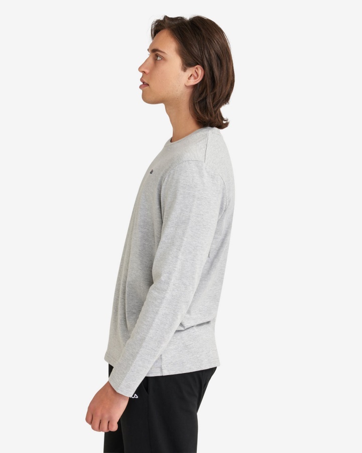 Men's Basic L/S Tee Fila Silver Marle