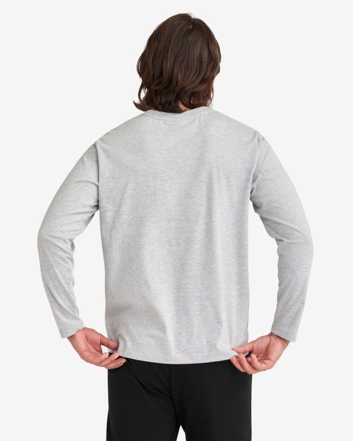 Men's Basic L/S Tee Fila Silver Marle