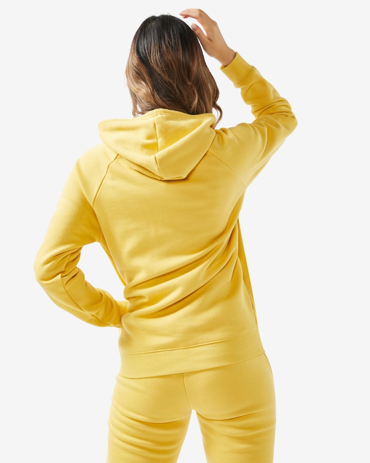 Unisex Badge 3.0 Hood Fila Misted Yellow